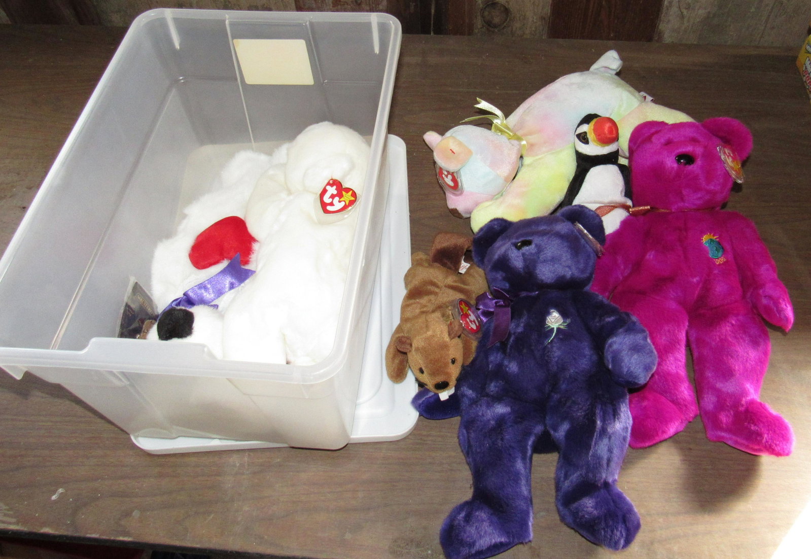 Beanie Babies: Getting all pictured