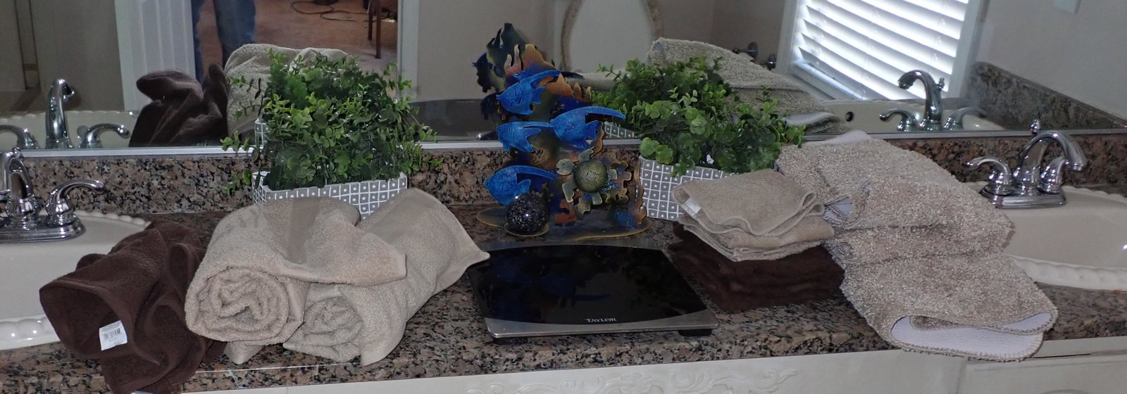 Scale Towels Artifical Plants: Getting all pictured on counter.