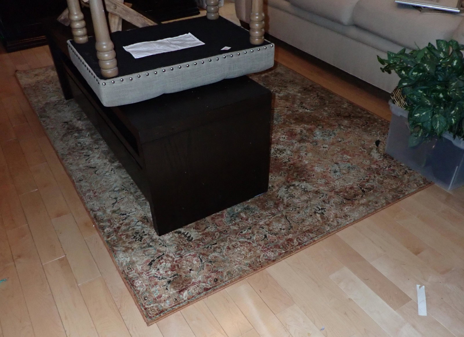 Regal Area Rug: 5'3" x 7'7"