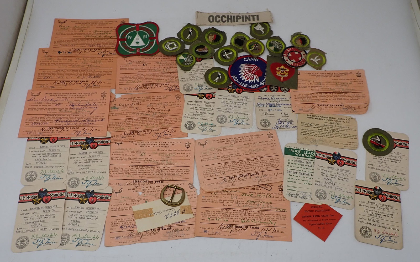 Boy Scout Merit Badge Cards Patches Applications: Getting all pictured