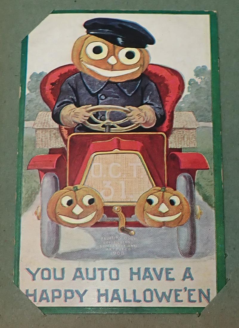 Postcard Album 225 Cards Untouched !