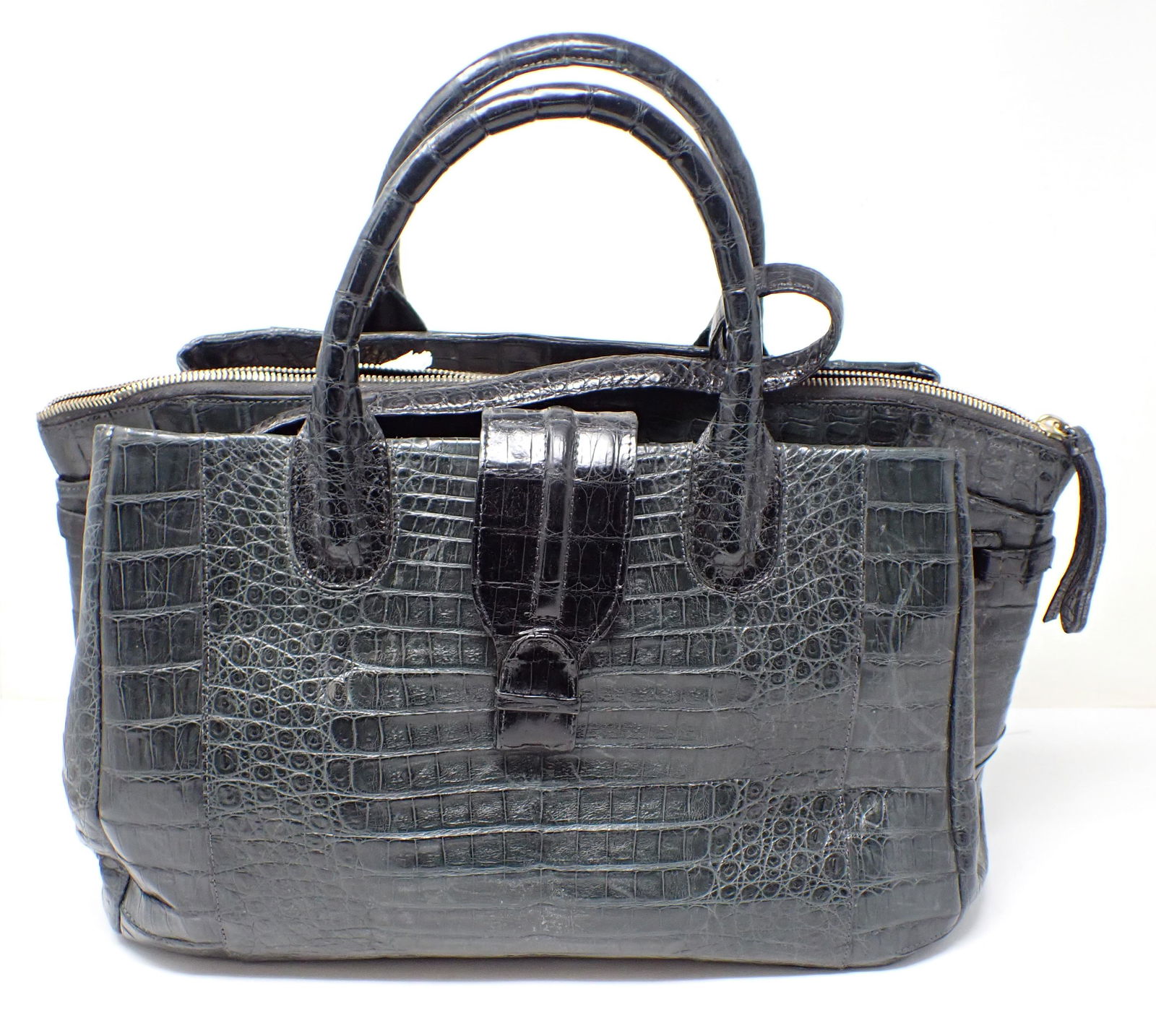 Nancy Gonzalez Crocodile Purse (1 of 3)