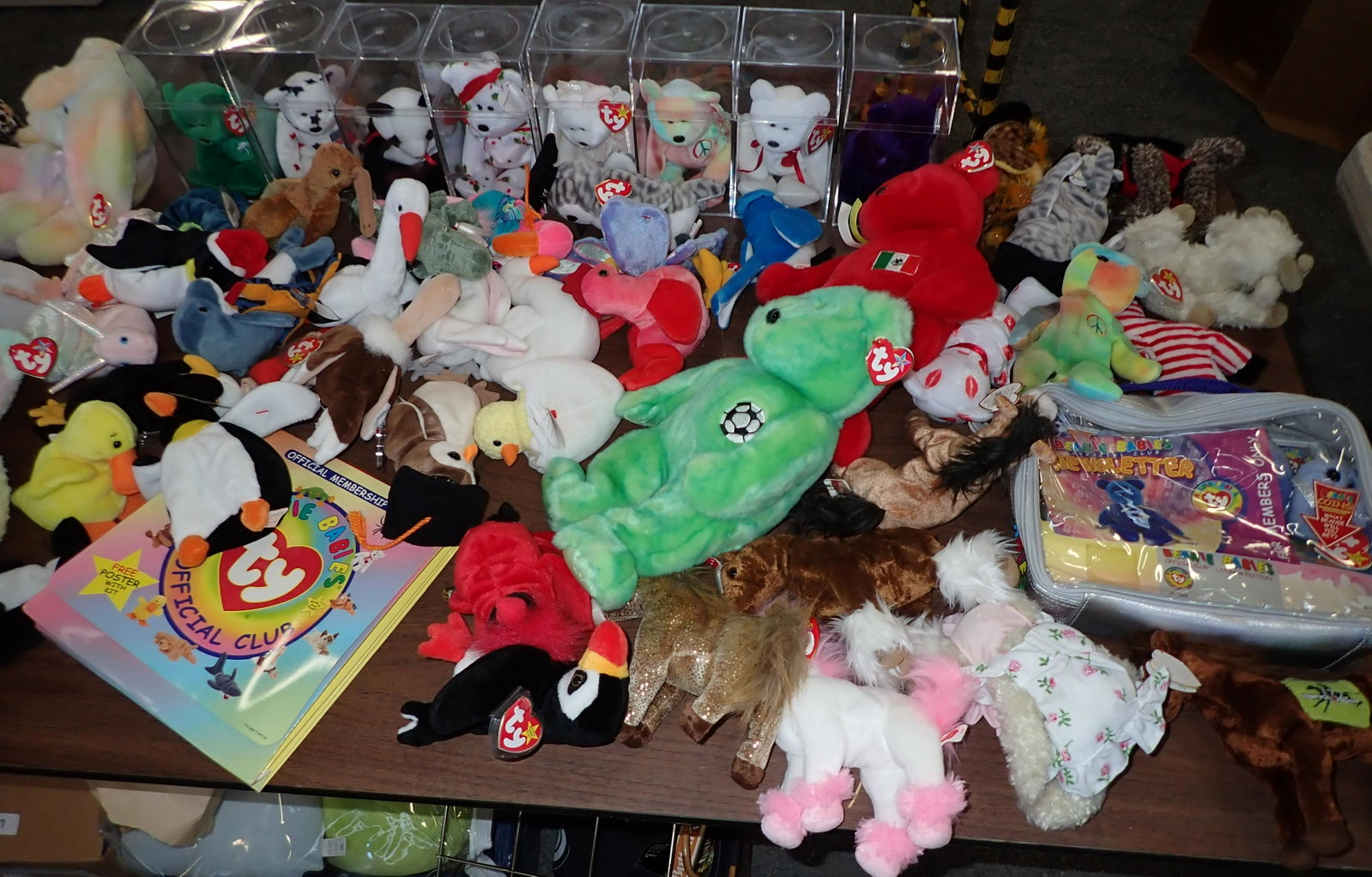 Table Contents of Ty Beanie Babies: Getting all pictured on table
