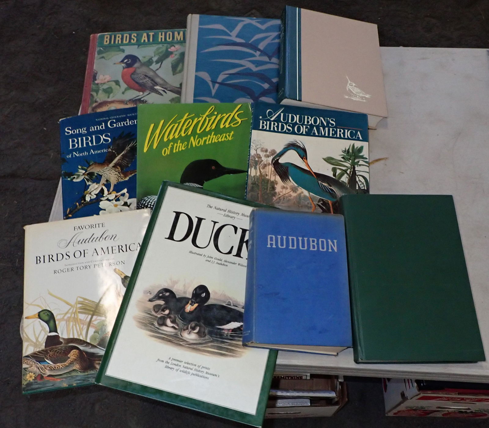 Audubon & Misc Bird Books (1 of 6)