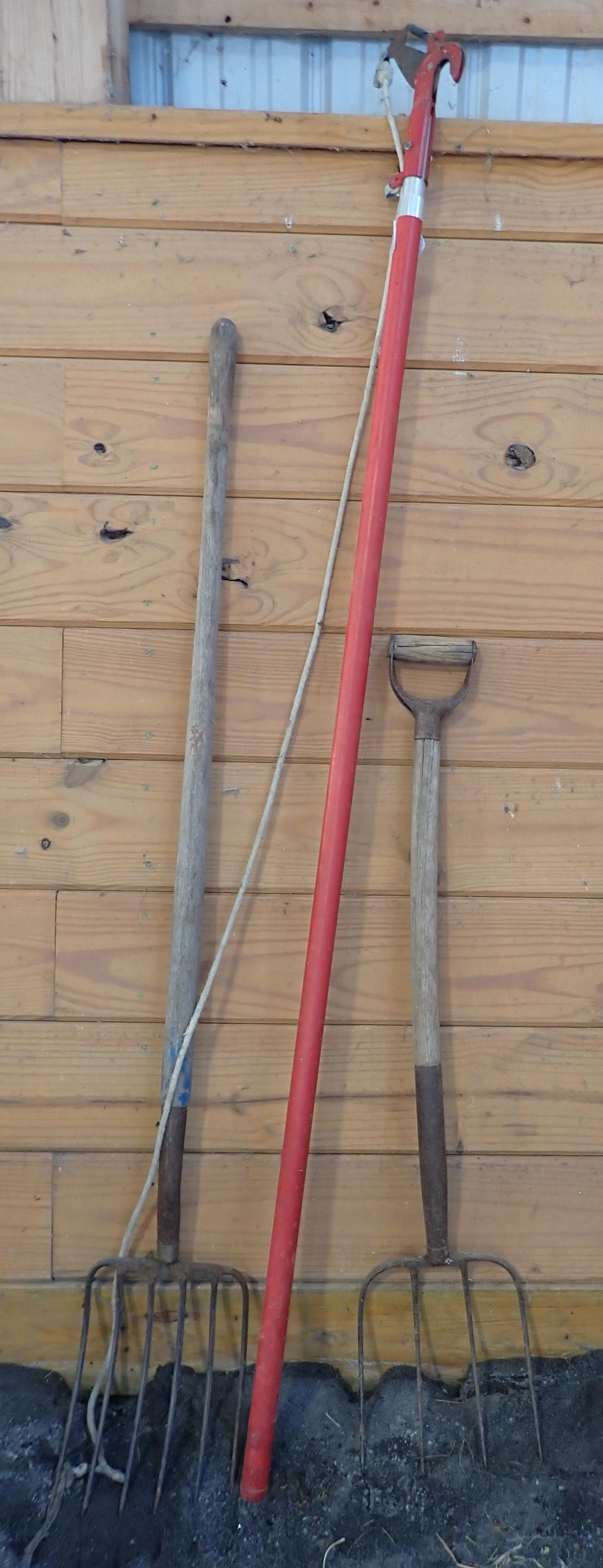 2 Hay Forks and Pole Pruner: Getting all 3