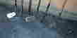item-101736781=2