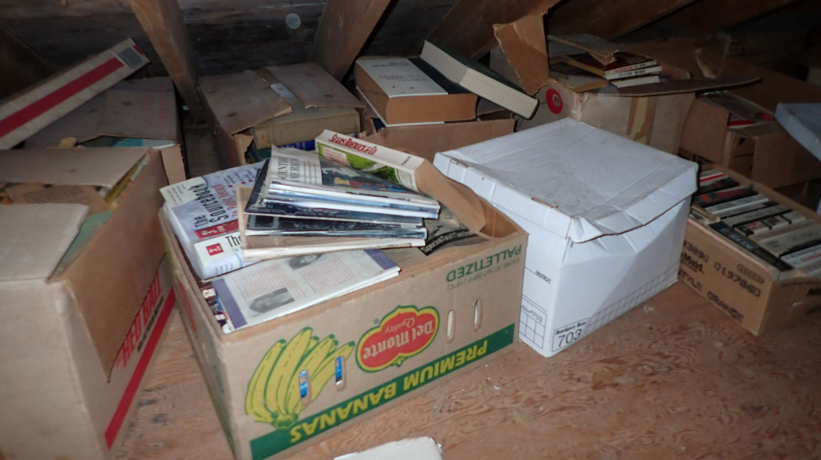 Contents of Crawl Space Books & Misc (1 of 17)