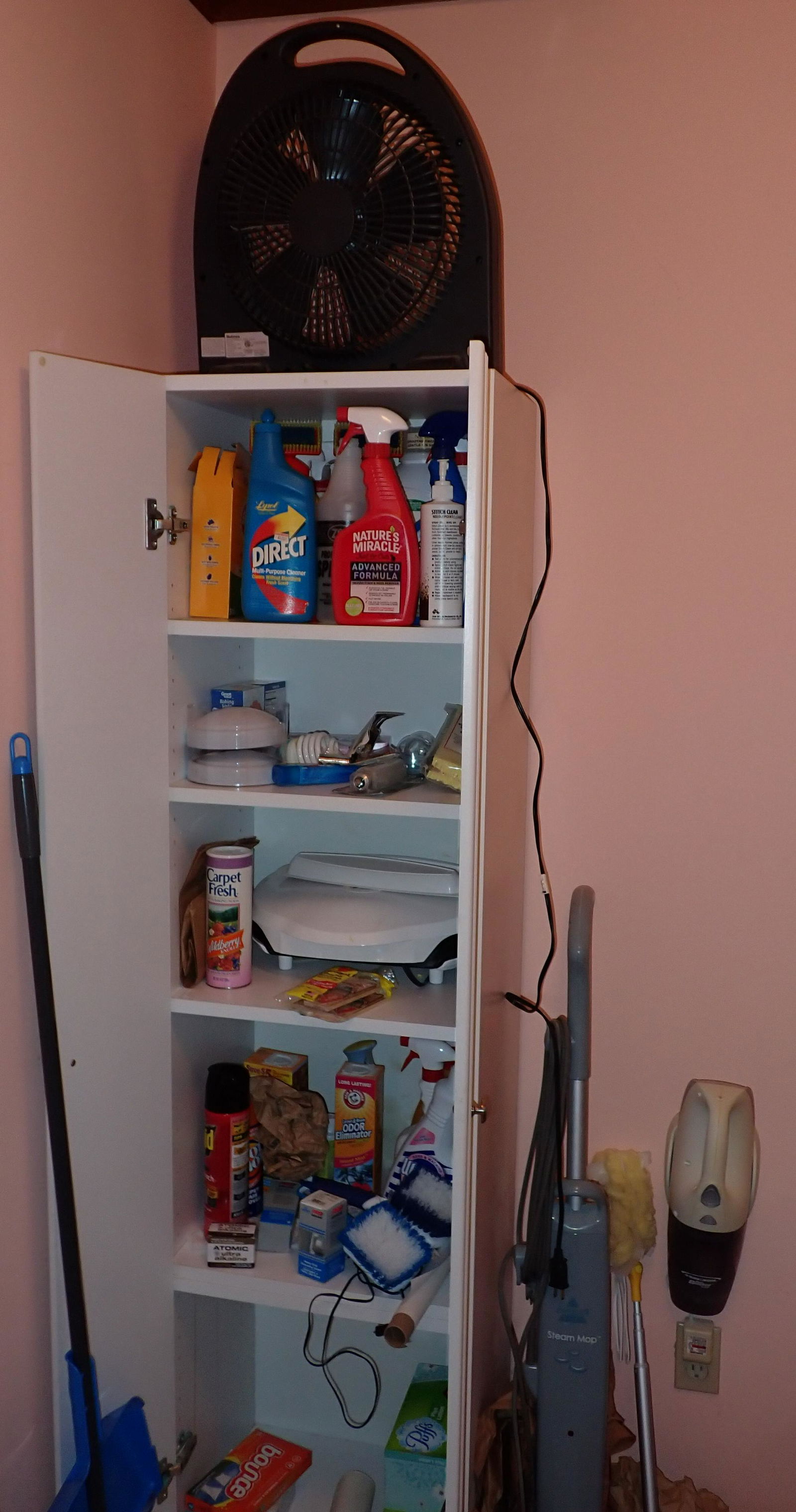 2 Door Cabinet Bissell Steam Mop Cleaners (1 of 6)