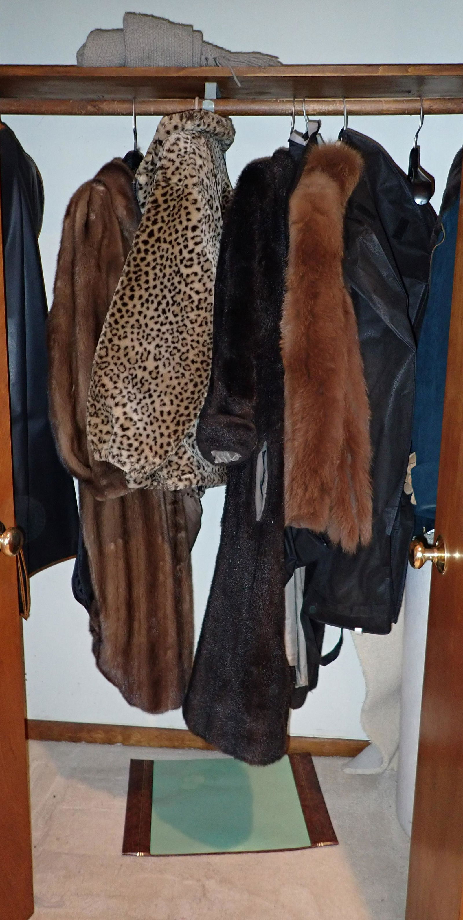 2 Fur & Misc Coats (1 of 3)
