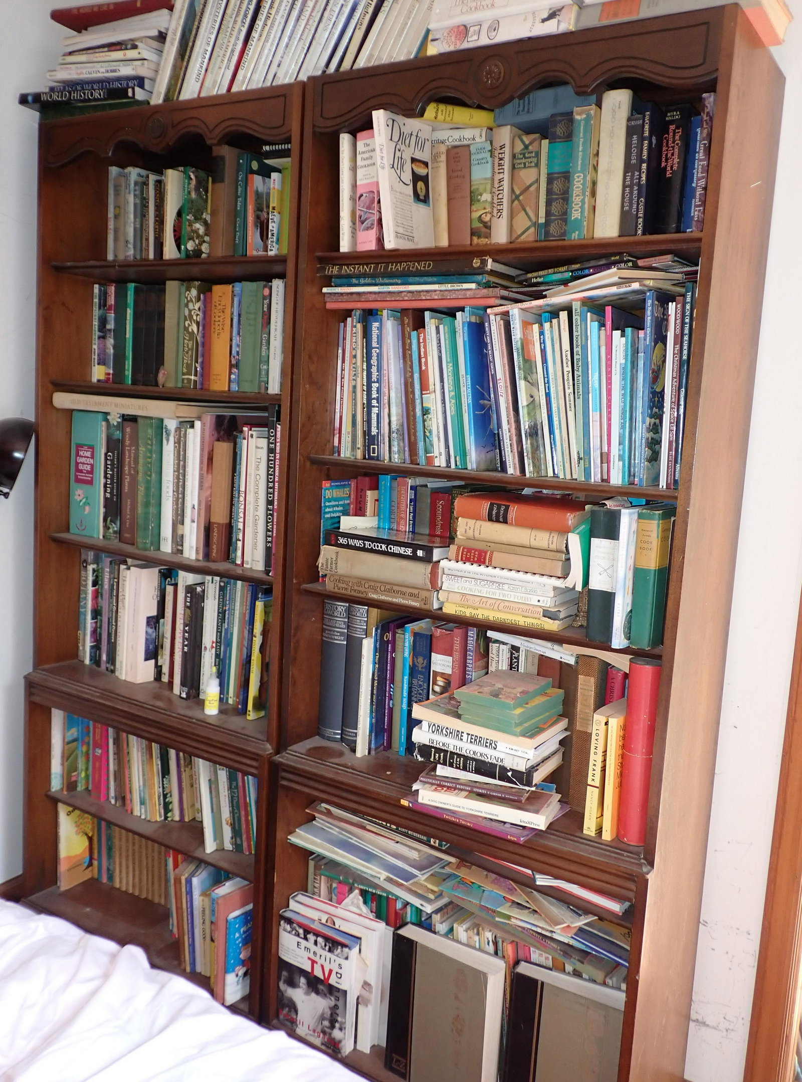 Pair of Book Shelves (1 of 3)