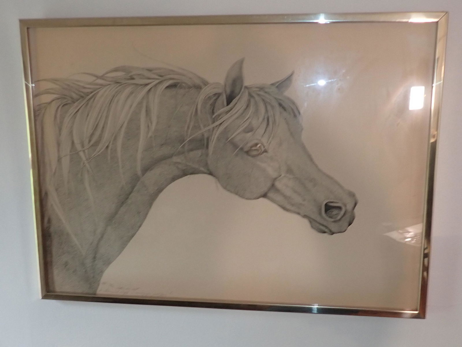 Peter Parnall Arab Horsehead Pen & ink (1 of 6)