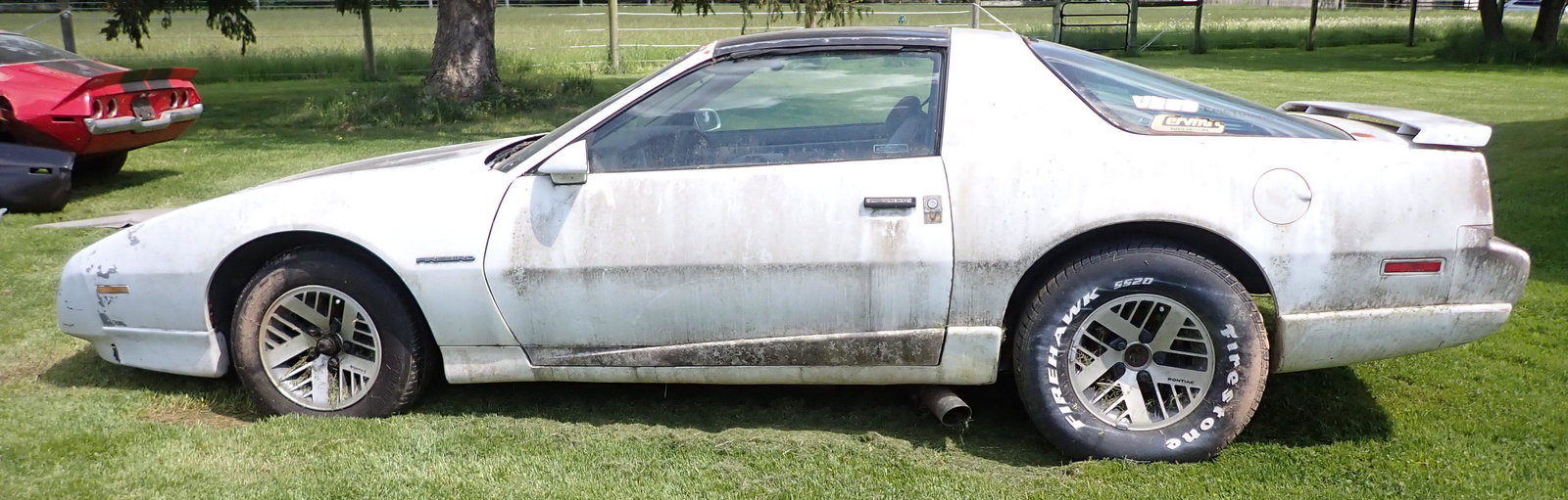 1991 Pontiac Firebird (1 of 16)