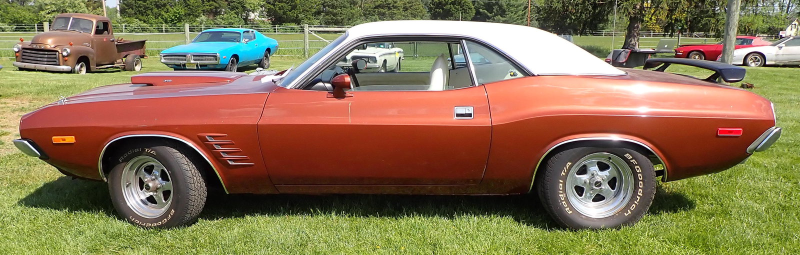 1973 Dodge Challenger (1 of 20)