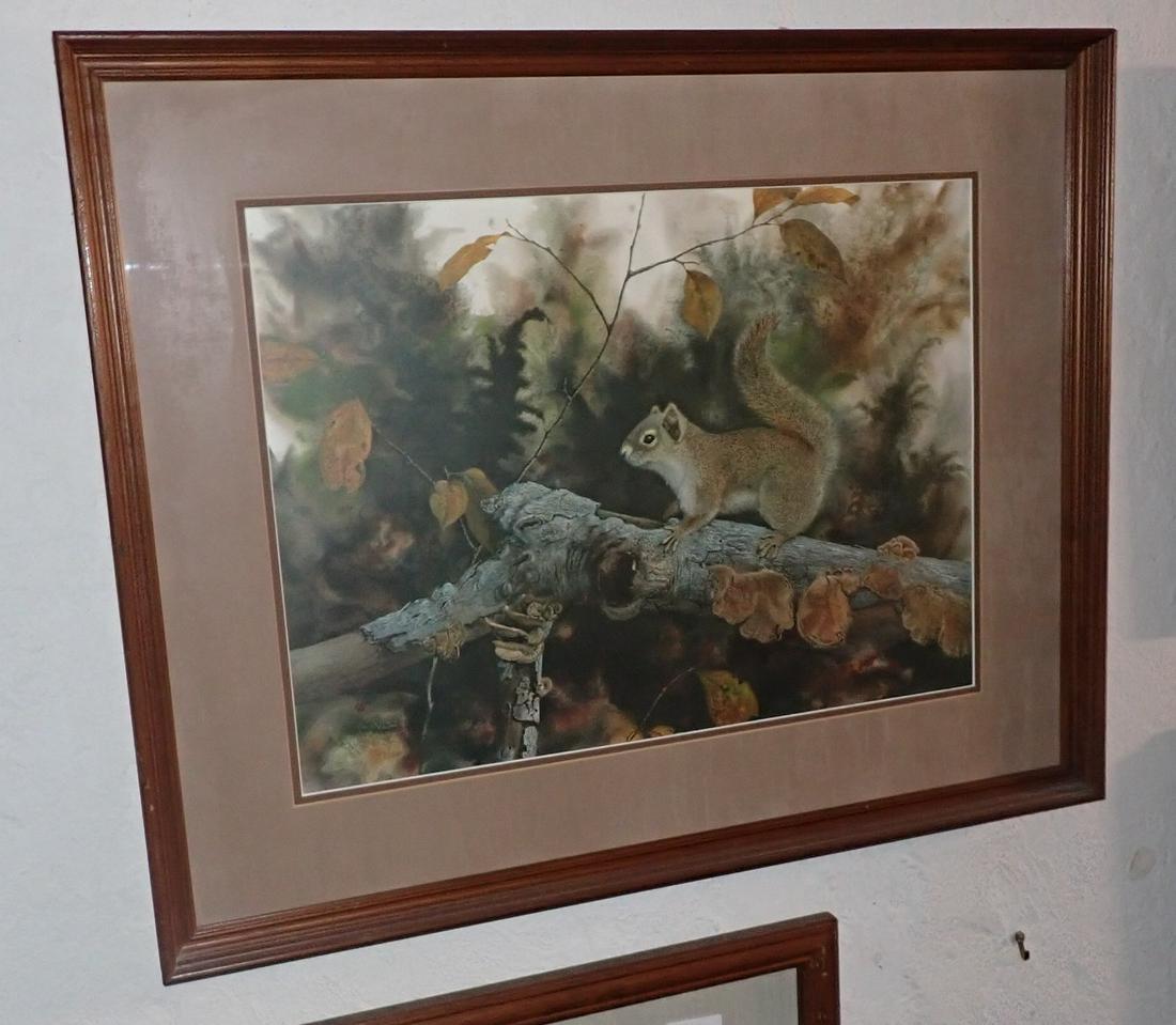 Squirrel Print: Approx 22" x 26 1/2"