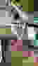 item-105227918=3