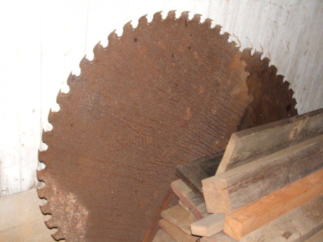 Large Saw Blades (1 of 2)
