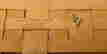 item-106534109=3
