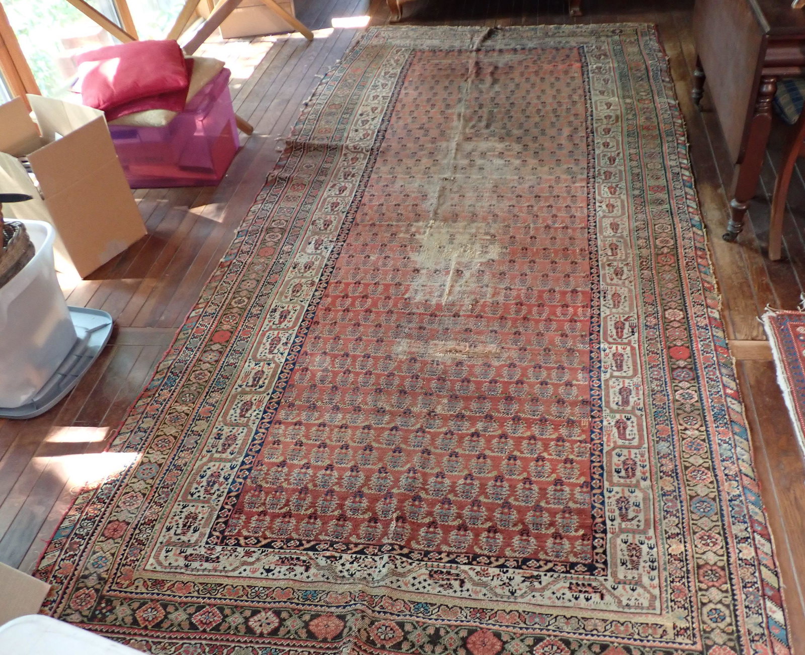 Persian Area Rug: Approx 5'5" x 11'9"
