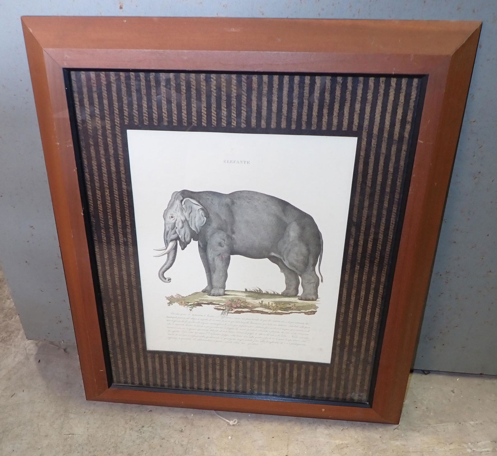 Elephant Print (1 of 2)