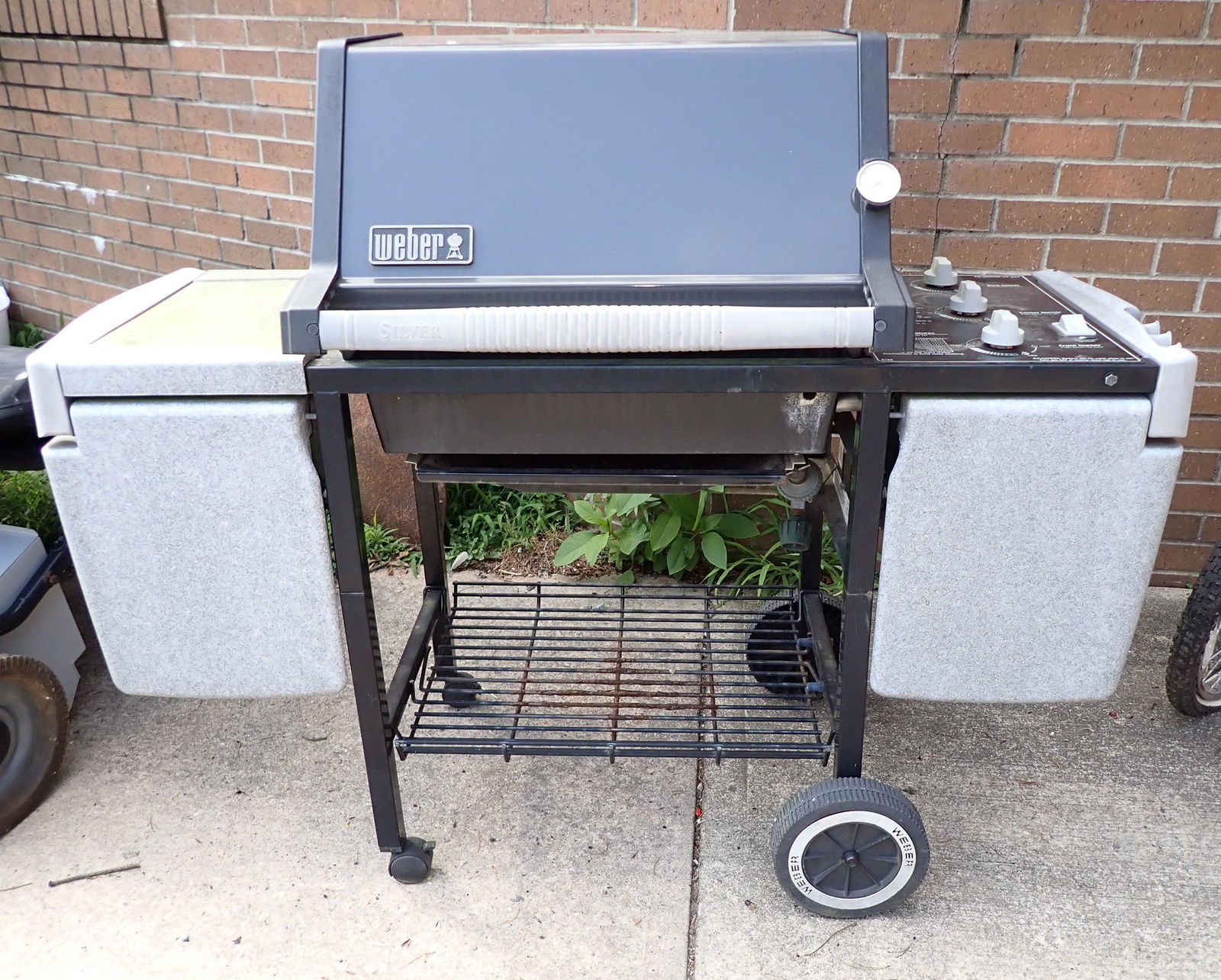 Weber Gas Grill (1 of 5)