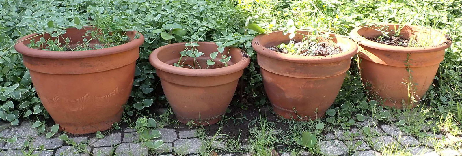 4 Terracotta Planters (1 of 1)