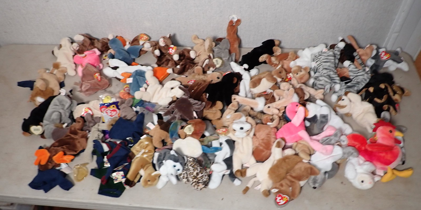 Tote Full of Beanie Babies: Getting all pictured