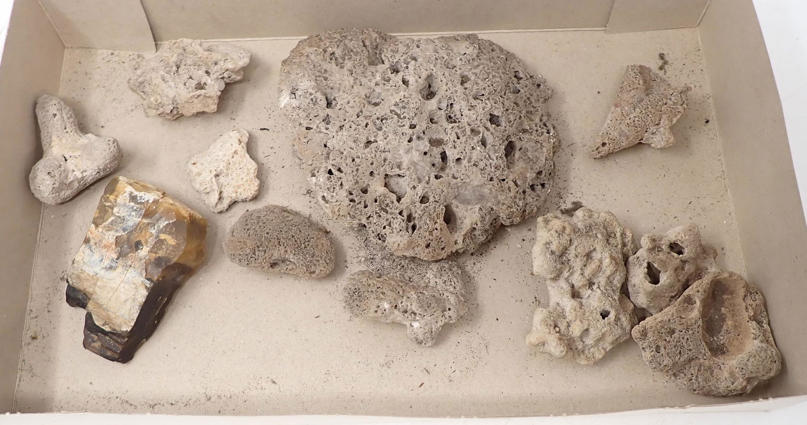 Rock & Fossils: Getting all pictured