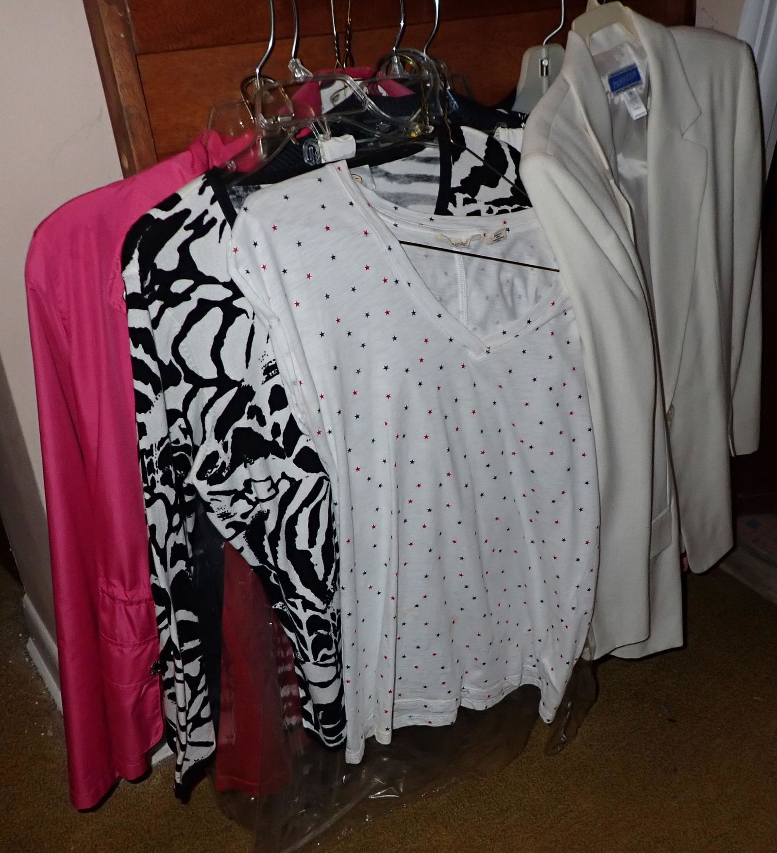 Misc Womens Clothing (1 of 3)