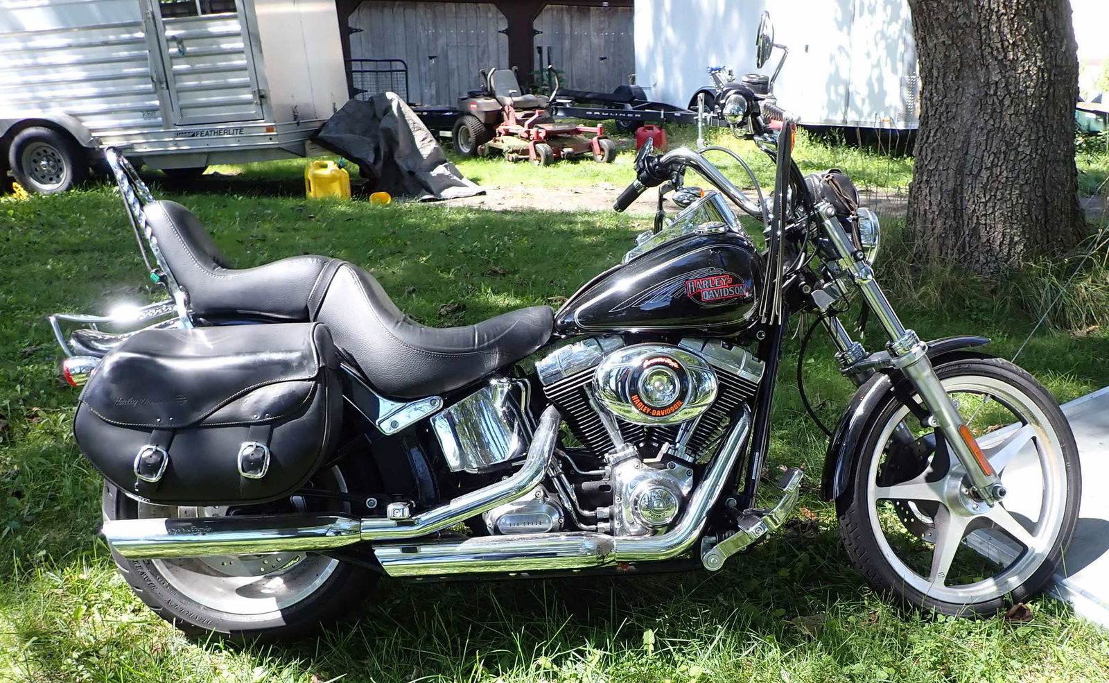 2007 Harley Davidson Custom Softail (1 of 19)
