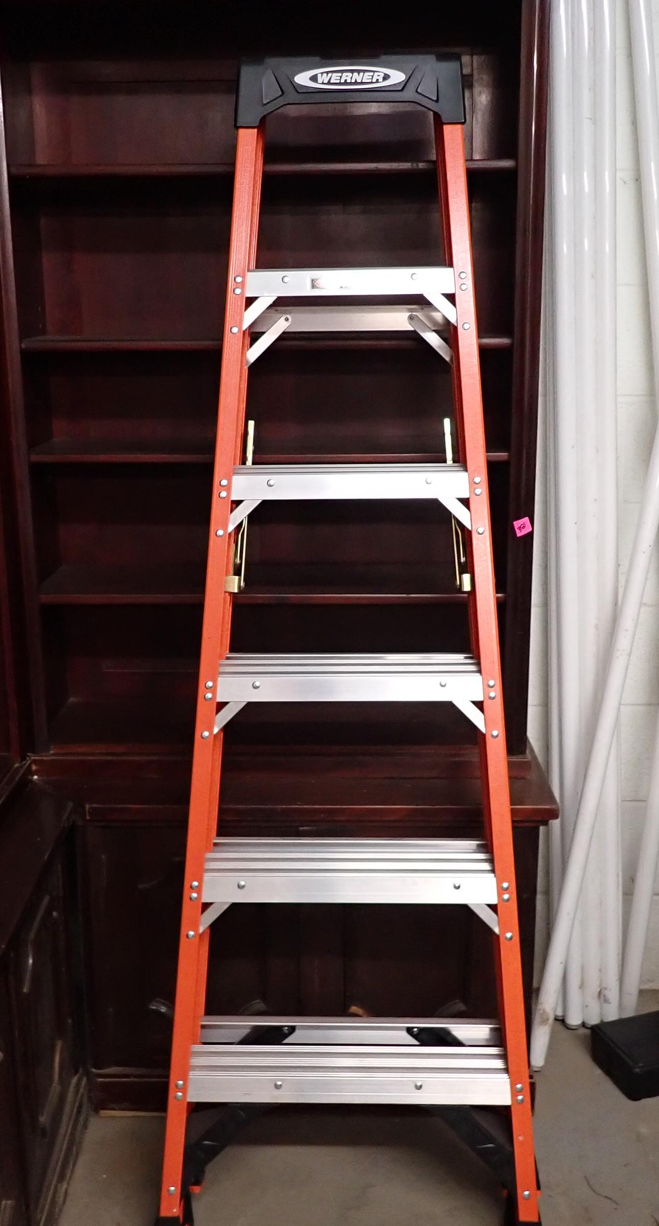 Werner 6' Ladder (1 of 2)