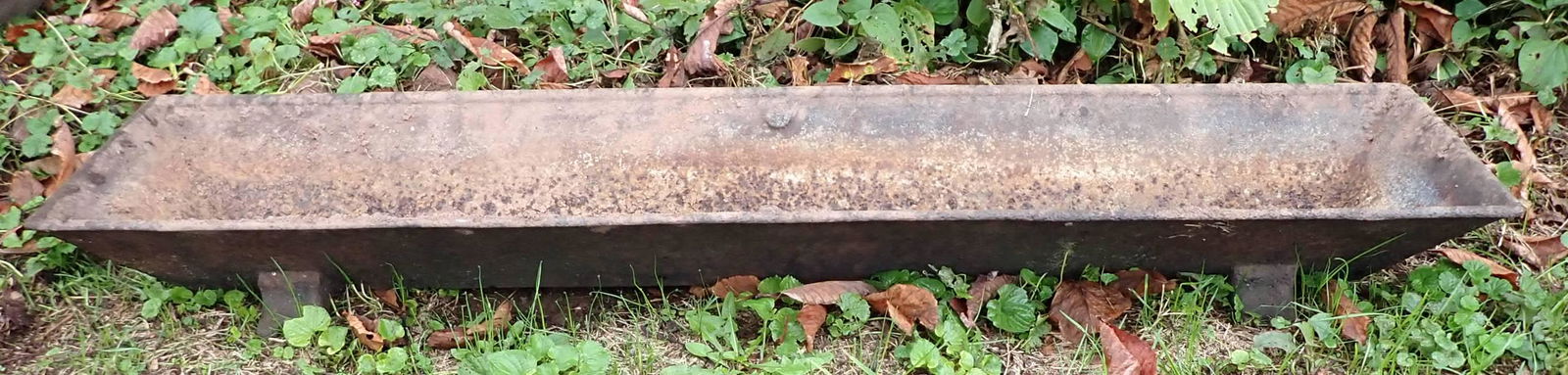 Cast Iron Pig Trough / Planter (1 of 4)