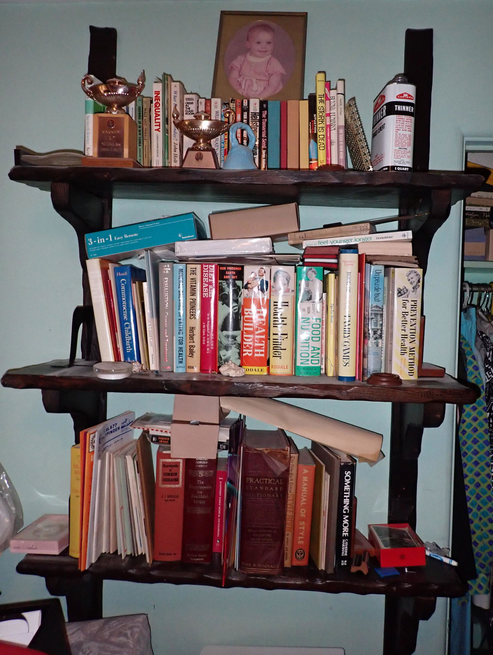 Books & Misc Shelf Contents (1 of 8)