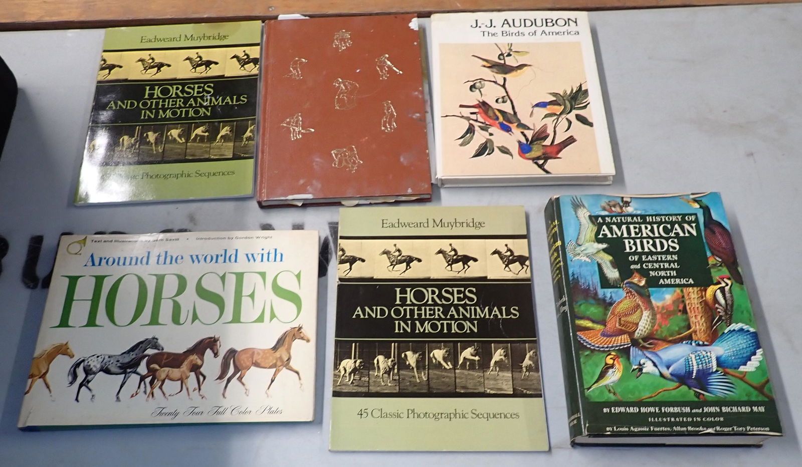 Audubon Birds & Misc Horse Books (1 of 4)