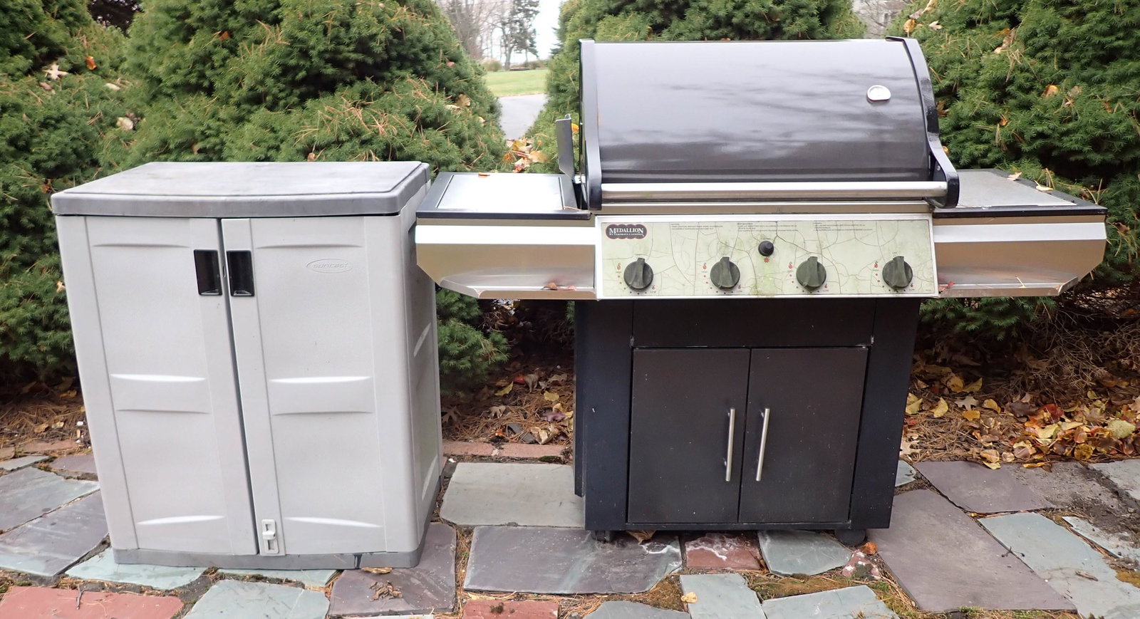 Medallion Grill & Suncast Storage Cabinet (1 of 7)