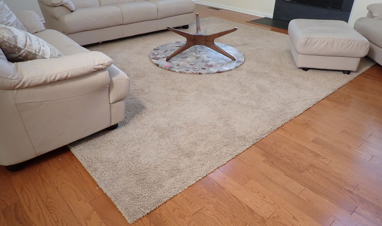 Area Rug: Approx 9" x 11" . NO SHIPPING