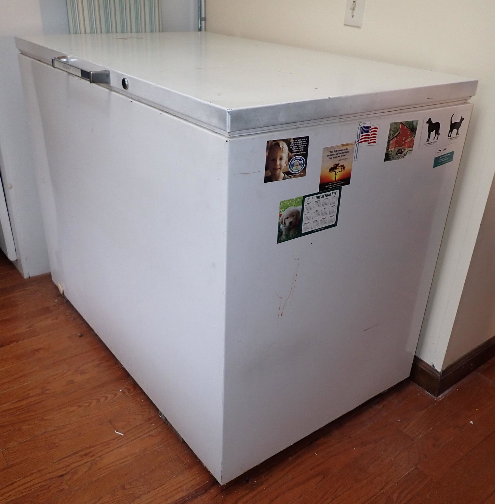 Agway Chest Freezer (1 of 3)