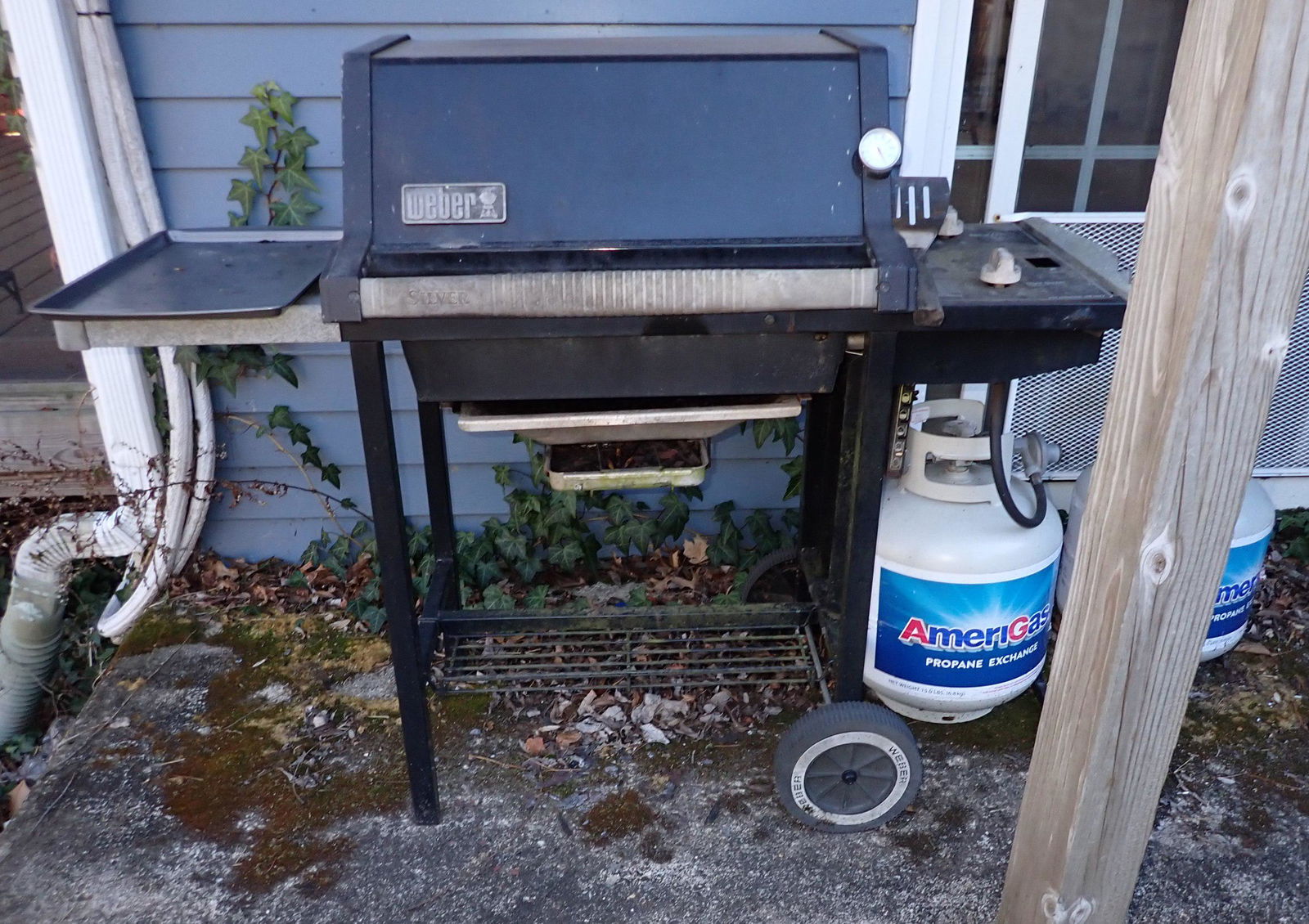 Weber Grill (1 of 4)