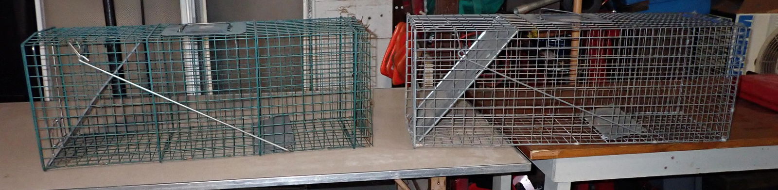 Havahart & Advantek Animal Traps (1 of 3)