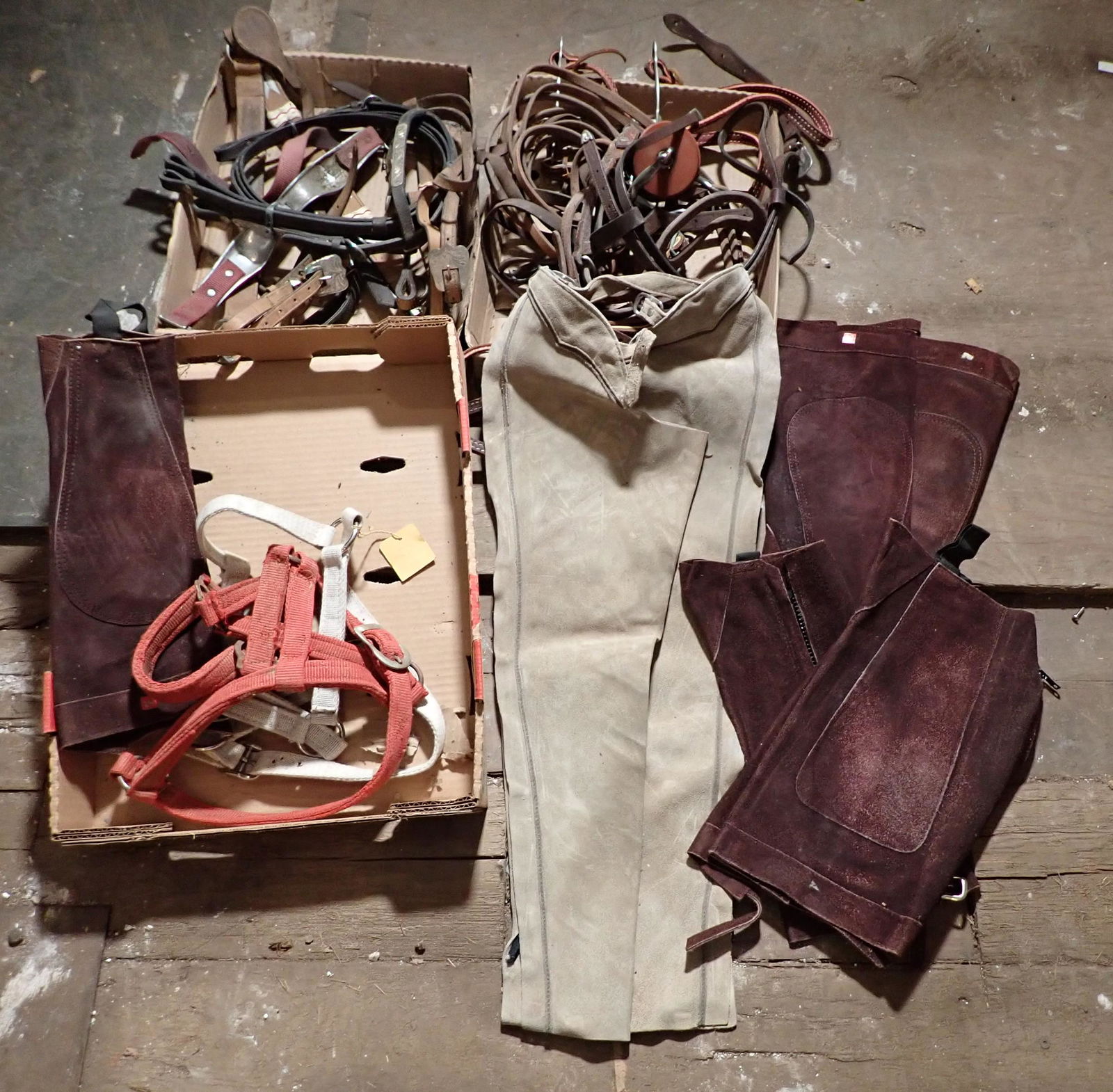 Harness's / Halters Chaps Misc Equestrian (1 of 5)