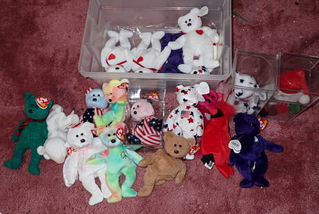 Ty Beanie Babies: Getting all pictured