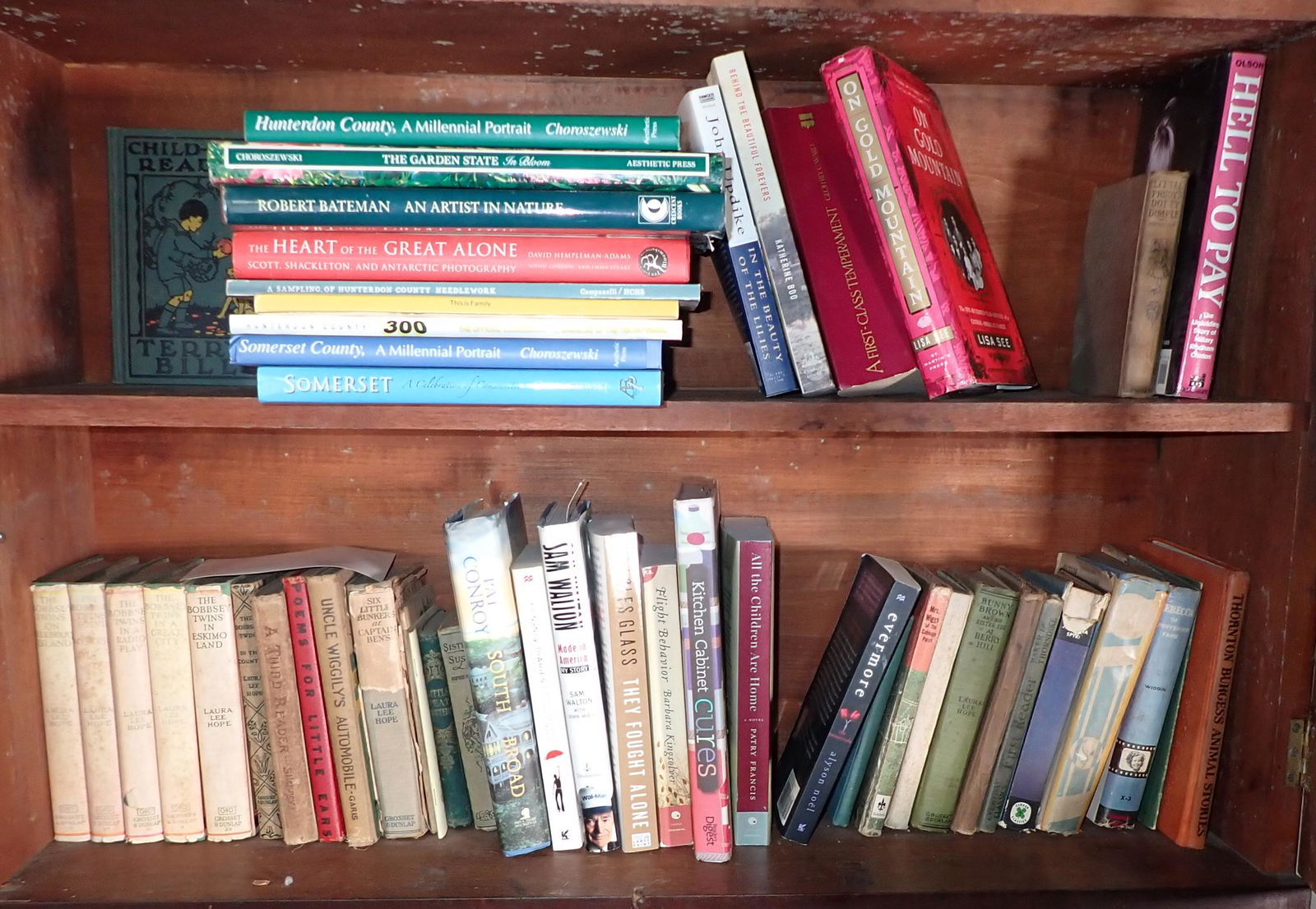 Bobbsey Twins and Misc Books (1 of 6)