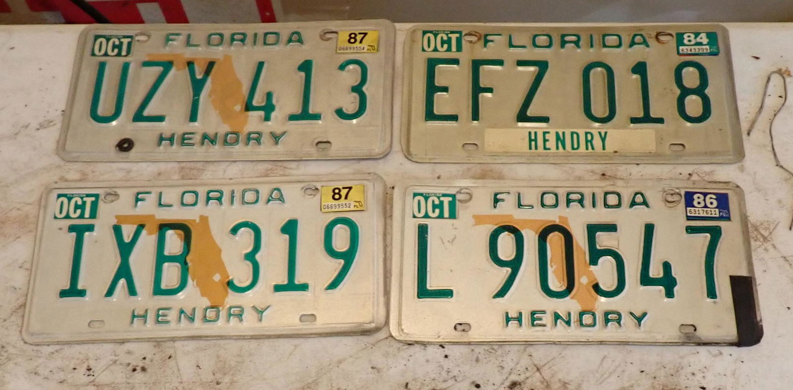 Florida License Plates (1 of 1)