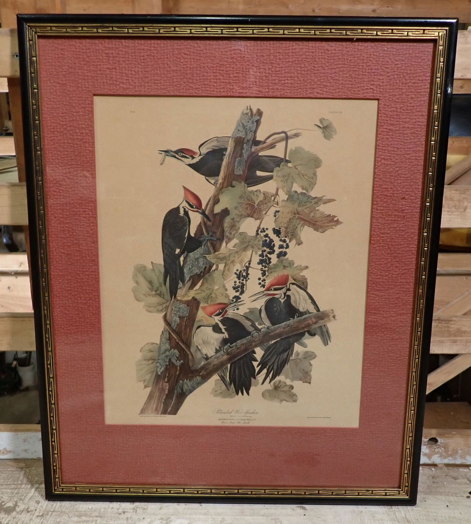 Audubon Woodpecker Litho Engraved by Havell (1 of 9)