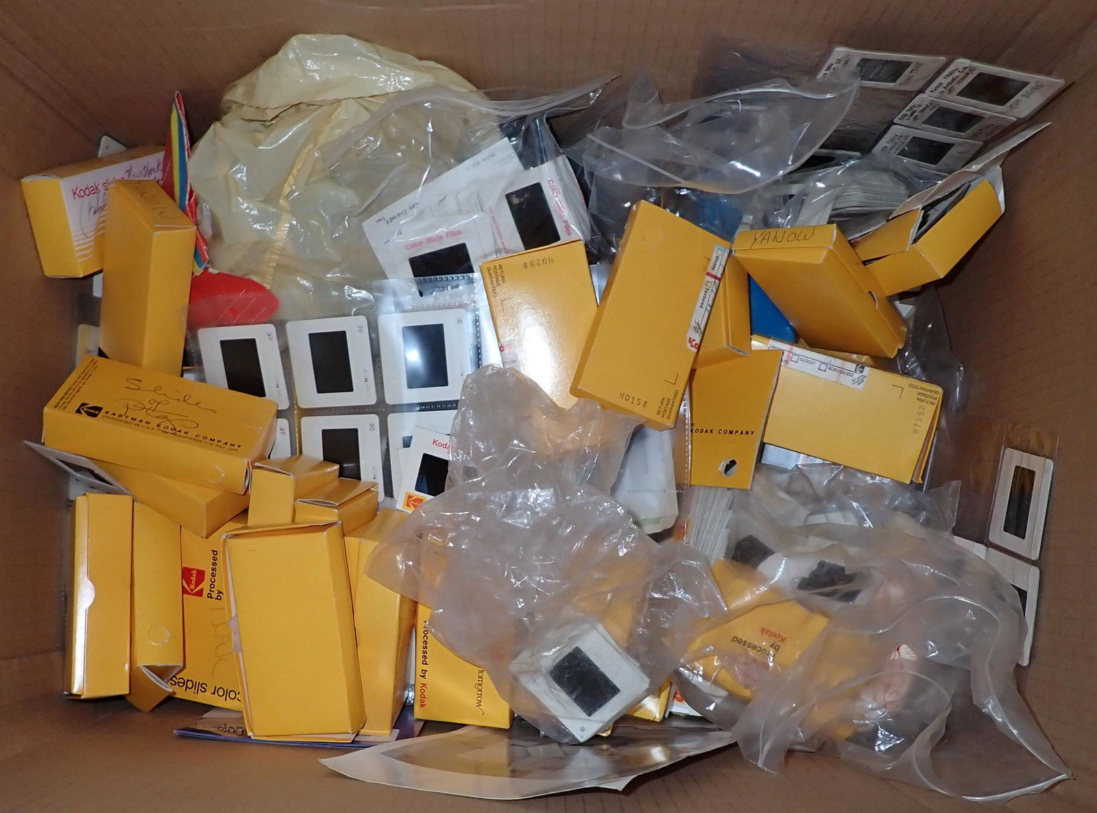 Rhoda Yanow Art Subject Pictures Slides Horse Track Racing (1 of 15)