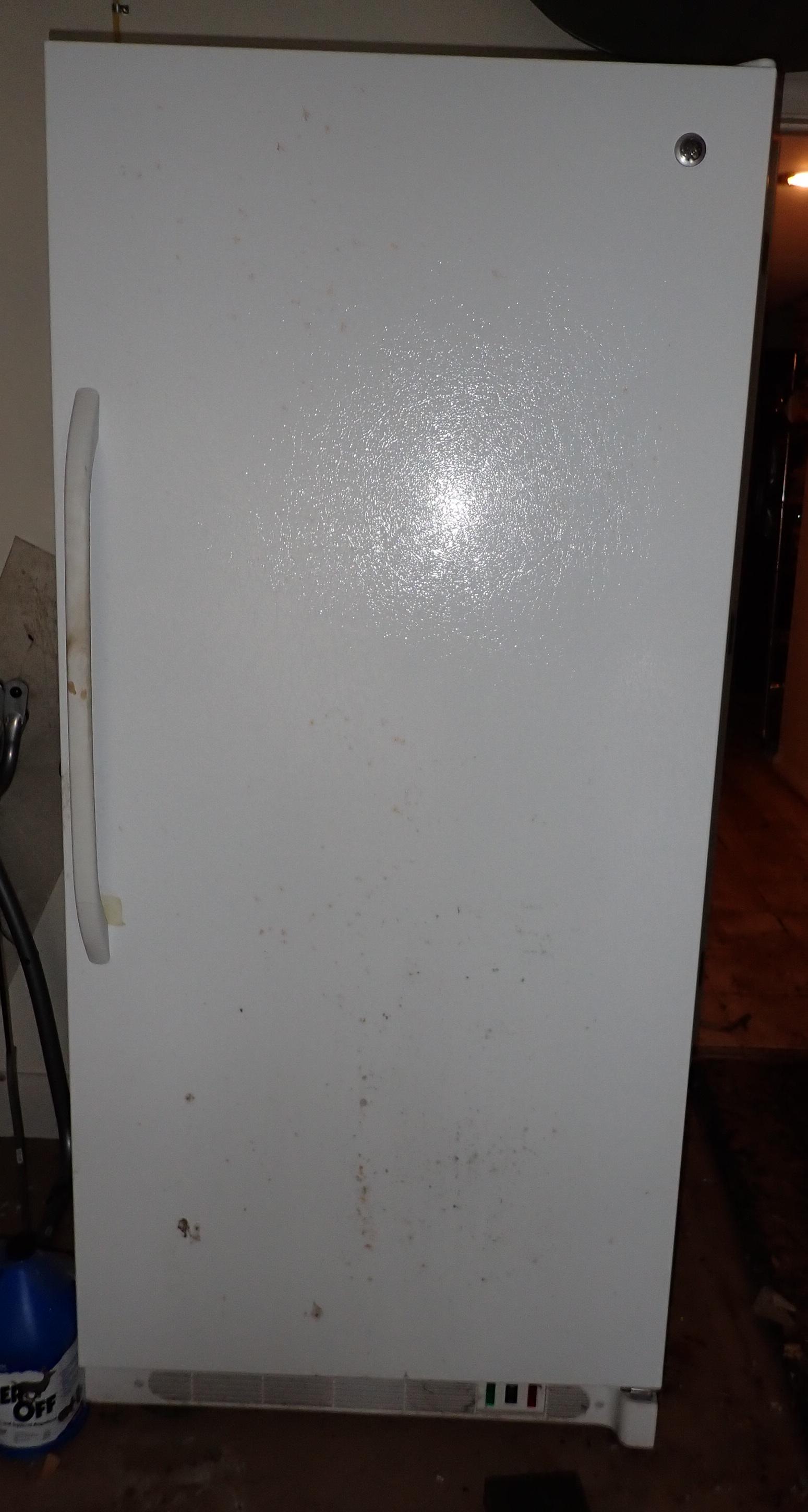 GE Frost Free Upright Freezer (1 of 3)