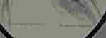 item-128914306=2