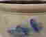 item-128914467=2