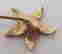 item-128914552=4