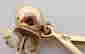 item-129367270=3