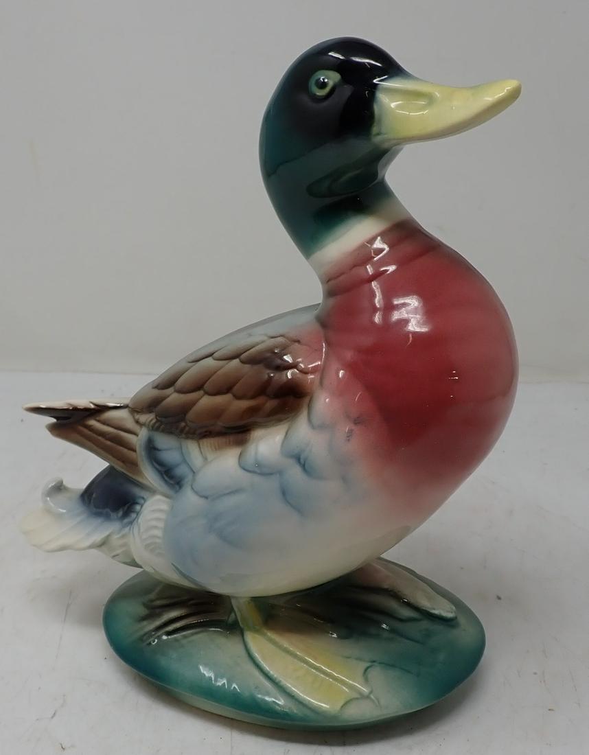 Anthony Priolo Mallard Drake Duck (1 of 2)